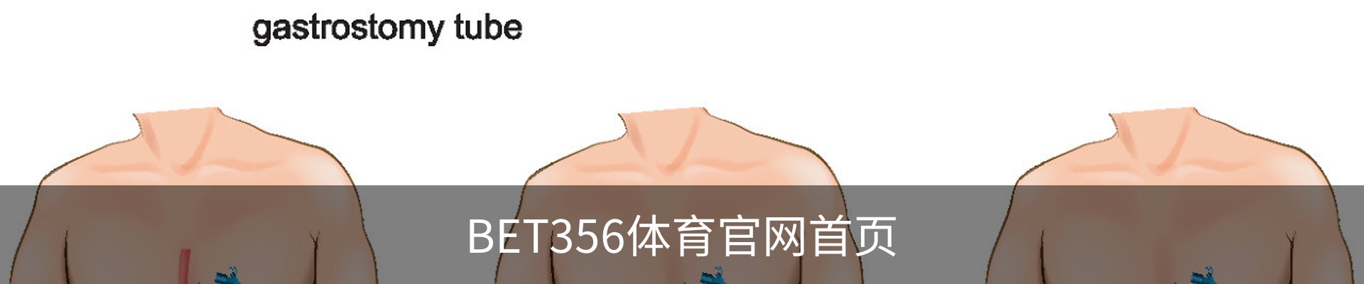 BET356体育官网首页 - 体育教学手机版